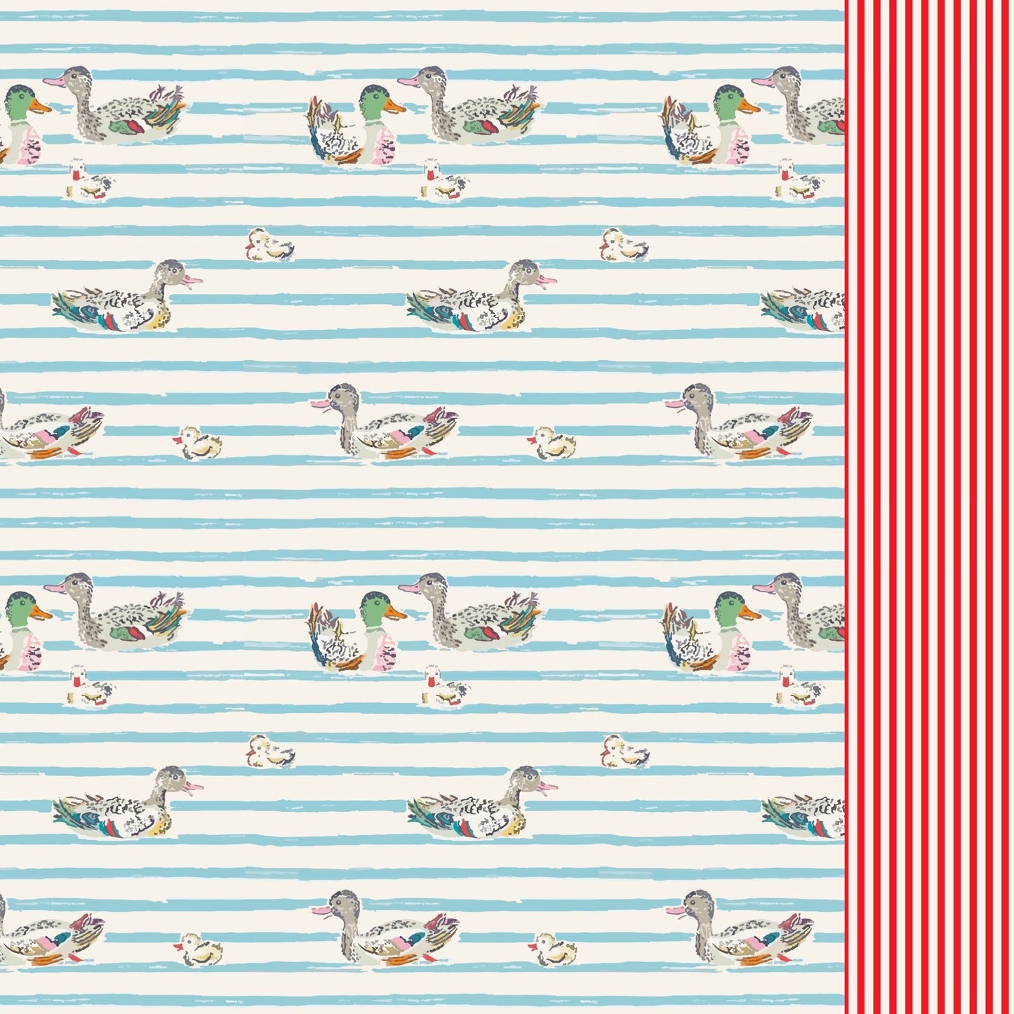 Paperboat - Duck family swimsuit